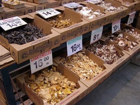 P2210062 | Far West Fungi mushrooms at Ferry Market Plaza | Derek ...