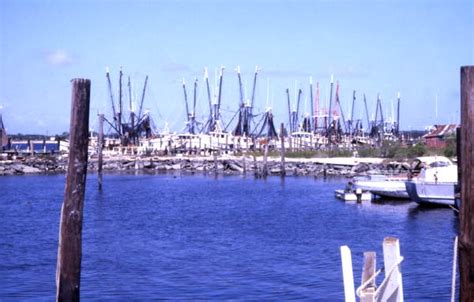 Florida Memory • Shrimp fleet docked at the fishing village of Mayport.