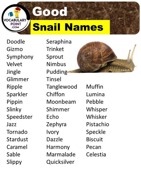 250+ Best Snail Names (Cute, Funny & Good Names) - Vocabulary Point