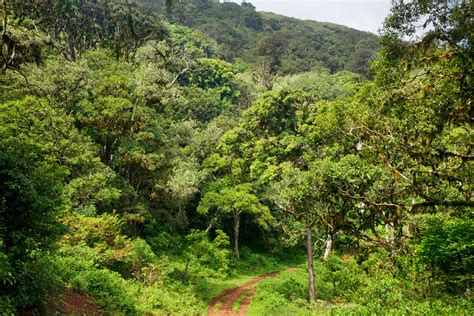 Marsabit National Park - Safari254