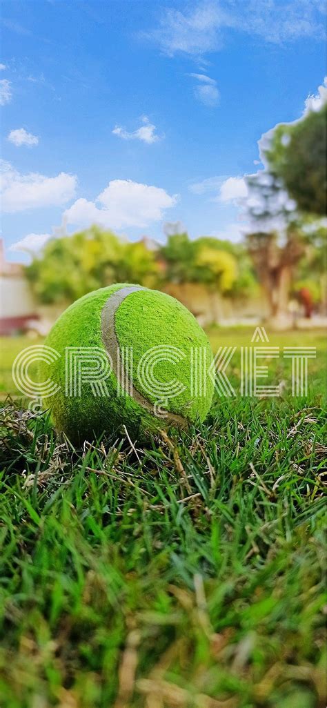 Details 300 tennis ball cricket background - Abzlocal.mx