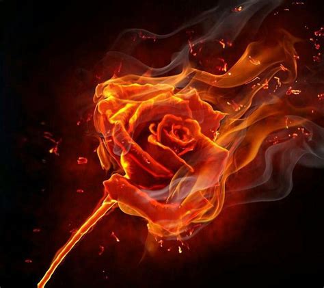 Pin by X-PWRMOM-X on Flames | Burning rose, Rose on fire, Burning flowers