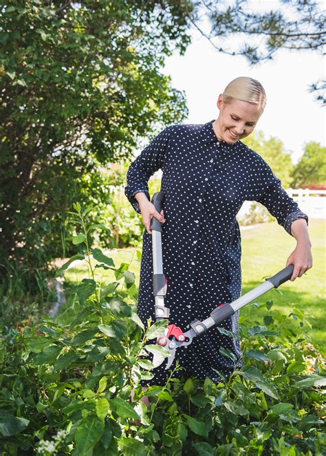 Rainbow Lawn Makeover - The House That Lars Built