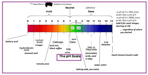 Unit 7: pH and Acid Rain | Mind Map