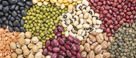 Health and Financial Benefits of Legumes - Soko Directory