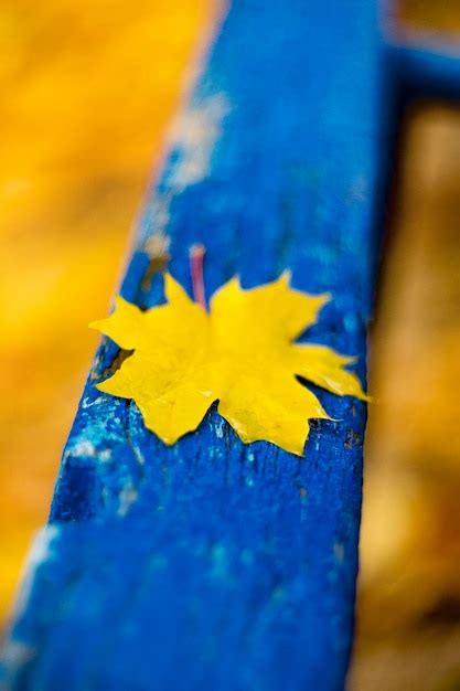 Premium Photo | Close-up of yellow painted wall