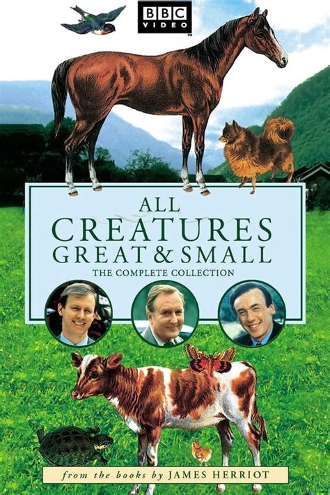 All Creatures Great and Small (TV Series 1978-1990) — The Movie Database (TMDB)