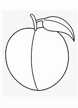 Coloring Pages  Free Printable Peach sketch template