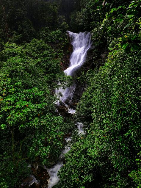 Kadambi - Waterfalls of Kudremukh - 2 | Foundation