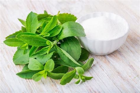 Stevia - The sugar replacement plant that doesn't cause cavities