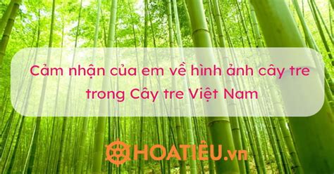 Cảm nhận của em về hình ảnh cây tre trong tác phẩm Cây tre Việt Nam (8 mẫu)