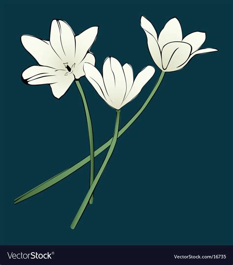 Spring flowers Royalty Free Vector Image - VectorStock