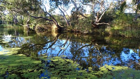 MAP: WERRIBEE RIVER