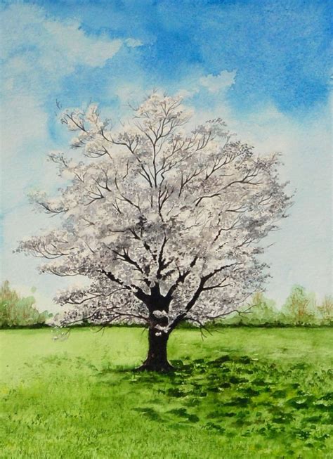 White Flowering Dogwood Tree Painting (2014) Watercolours by Shweta ...