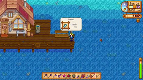 How to get SARDINE fish - Stardew Valley - YouTube