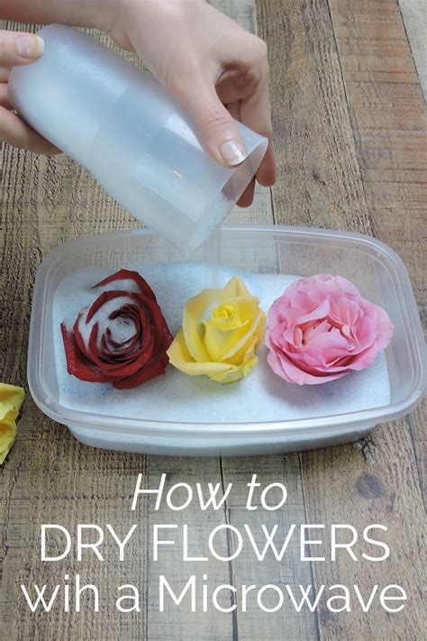 The Easiest Way to Dry Flowers in a Microwave | Dried flowers diy ...