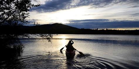 Alaska Wildlife Tour (9 Days) - Alaska Outdoors