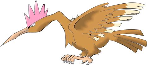 Pokemon - Fearow by Icedragon300 on DeviantArt