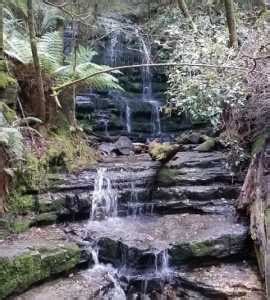 5 Best Hiking Trails in Hobart - Top Rated Hiking Trails