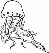 Top 12 Jellyfish Mandala Coloring Pages  sketch template