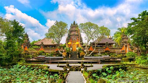 What to See in Ubud Bali | Authentic Indonesia Blog