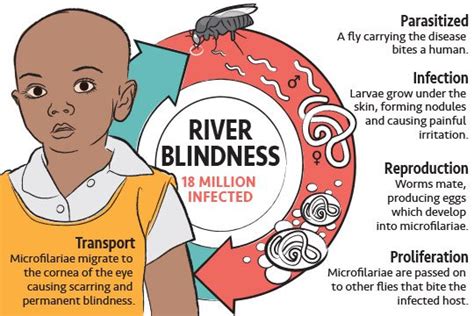 The flies have it: River blindness and the communities it affects | PATH