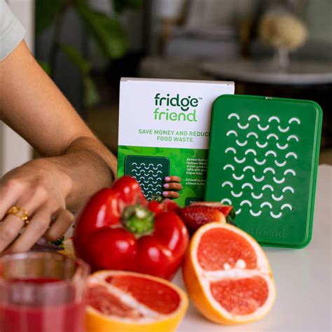 Fridge Friend - Helping You Reduce Food Waste & Save Money