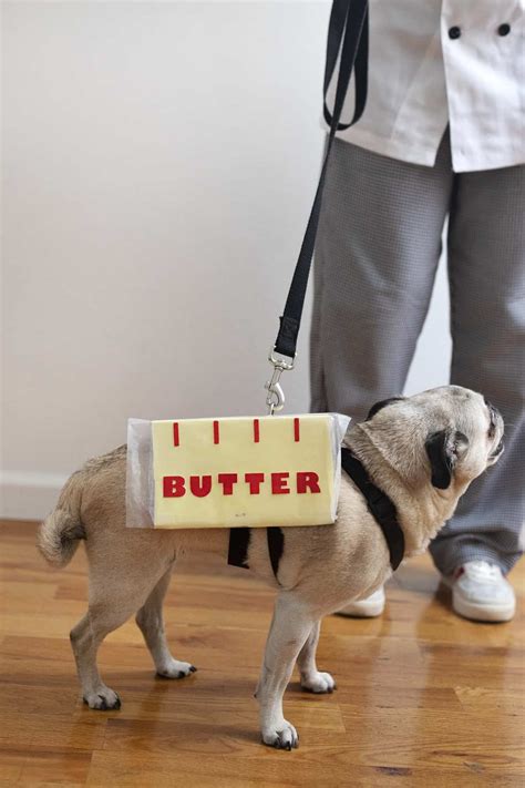 Dog Family Costumes - Chefs & Butter + Lobster - A Beautiful Mess