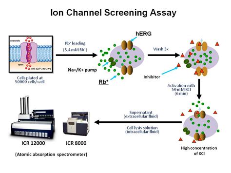 High Throughput Screening Flux Assays - Aurora Biomed