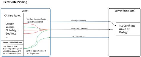 Understanding TLS Verification and Certificate Pinning