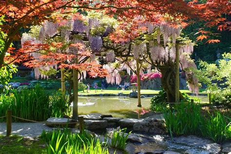 Japanese Garden | Photos by Lisa Chen | Seattle Parks and Recreation | Flickr
