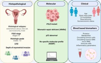 Frontiers | Current and Emerging Prognostic Biomarkers in Endometrial ...