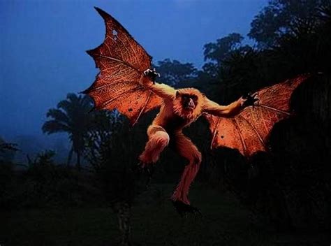 Category:Bats | Cryptids and Myths Wiki | Fandom