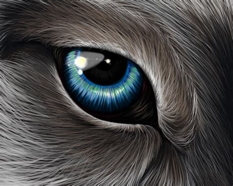 Wolf's Eye by ehioe on DeviantArt