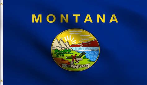 Amazon.com : DMSE Montana 41st State 1889 Flag 3X5 Ft Foot 100% Polyester 100D Flag UV Resistant ...