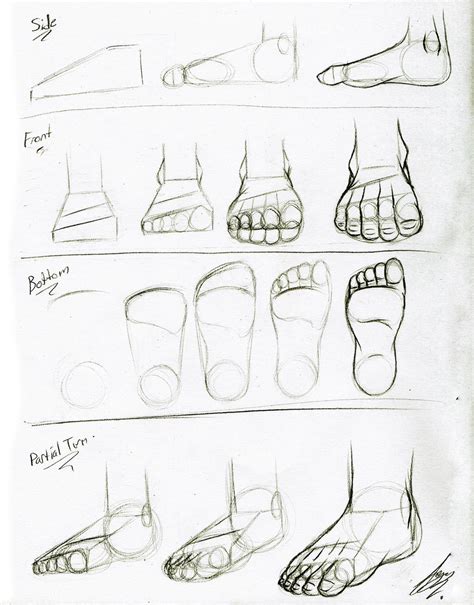 Foot Tutorial by Juacamo on DeviantArt