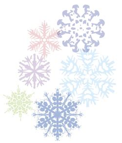 Experiment: Borax Snowflakes » The MacDiarmid Institute