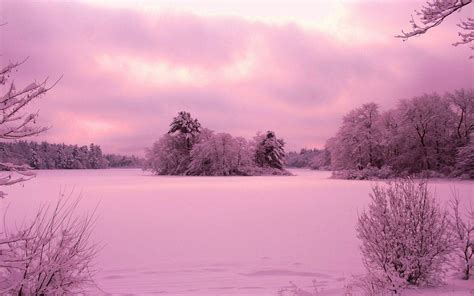 Pink Snow Wallpapers - Top Free Pink Snow Backgrounds - WallpaperAccess