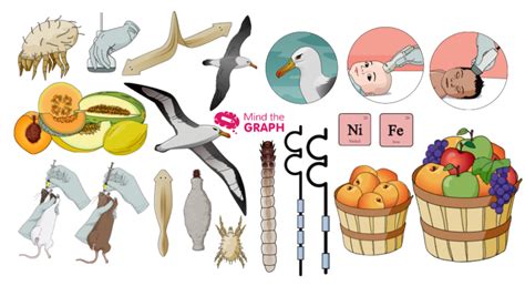 #25 Scientific illustrations of the week: Don’t miss it! - Mind the Graph Blog