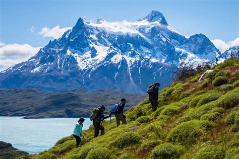 Patagonia Tours by Ecocamp. Best tours in Torres del Paine, Chile