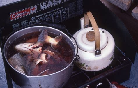 How Did The Inuit Tribe Cook Their Food | Deporecipe.co