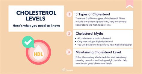 Cholesterol Levels: By Age, Gender, LDL, HDL & More - Homage Malaysia