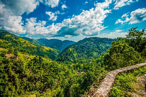 Blue Mountain Coffee: Jamaica's Famous Coffee | Sandals