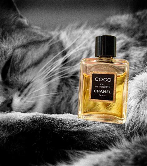 Coco Eau de Toilette Chanel perfume - a fragrance for women