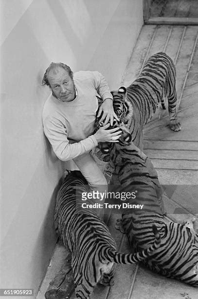 36 John Aspinall (Zoo Owner) Stock Photos, High-Res Pictures, and ...