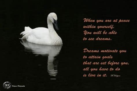 Swan Quotes. QuotesGram