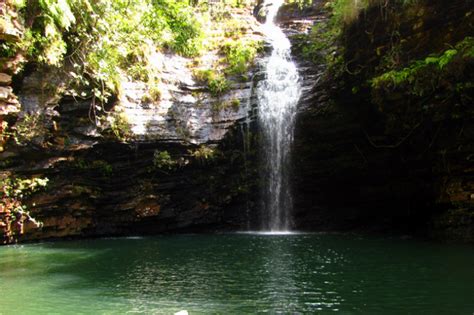 Talakona Waterfalls Andhra Pradesh | Waterfall, National parks, Places