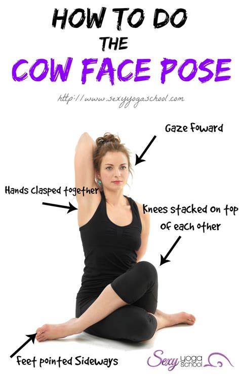 25+ bästa Cow face pose idéerna på Pinterest | Yogaanatomi och Yogatips