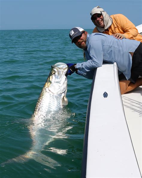 Tarpon Fishing Report May 5th, 2017 - Florida Tarpon Fishing Charters