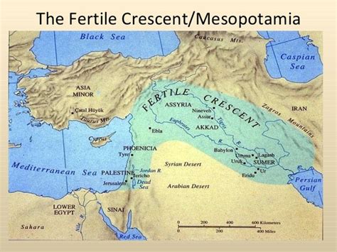 Fertile Crescent timeline | Timetoast timelines